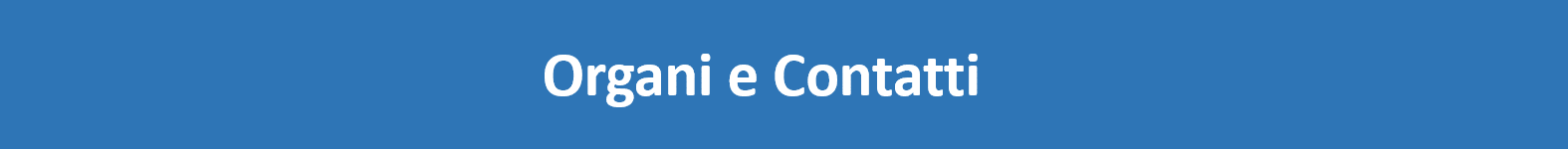 comitato di indirizzo